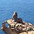 Donna Ribavaro Foggia's profile image