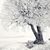 Nichole Dean's profile image