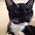Ledora Tighe's profile image