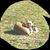 Renee Painter's profile image