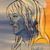Therese Bohlman's profile image