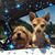 Michelle Ormsby Rendon's profile image
