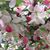 Kathie Steinwinter's profile image