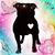 Nicki Worley's profile image
