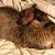 Micki L Kohan's profile image