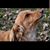 Tracey Hull Price's profile image