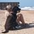 Ann Bengtson Andress's profile image