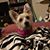 Kathy Wynne Tetterton's profile image