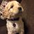 Olive Ainsworth's profile image