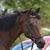 Michelle Cope's profile image