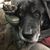 Jodi Wilder-Corrigan's profile image