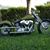 Brian Gifford's profile image