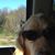 Justin Damron's profile image