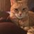 Diane Kay's profile image