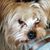 Sherrie Armstrong's profile image