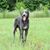 Lucy Hanbury Moneymaker's profile image