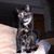Michelle Stevens's profile image