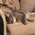 Sharon Miklas's profile image