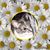 Lynne Favara's profile image