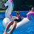 Alison Prisco's profile image