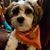 Teresa Severin's profile image