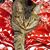 Pamela Retterer's profile image
