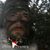 Tim Haacke's profile image