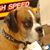 Jared Weniger's profile image