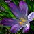 Norma Mull's profile image