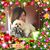 Amy Christian's profile image