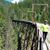 Deborah Kathan Bushek's profile image