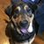 Lou Ann Obernesser's profile image