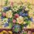 Sue Patterson's profile image