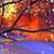 Lisa Bartholomew Goodman's profile image