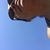 Irma Angelica Bastida S's profile image
