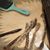 Kim Ivester's profile image