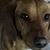 Cathy Isbell's profile image