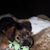 Grace Ann Lane's profile image
