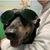 Nick Carter's profile image