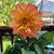Jennifer Smith Reinbold's profile image