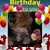 Diane Fisher's profile image