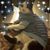 Allison Phillips's profile image