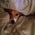 Christie Campbell's profile image