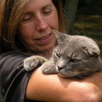Liz Purr's profile image