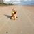 Sandy Beachum's profile image