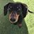 Brenda DesJarlais's profile image