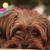 Stephanie Taylor's profile image