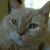 Jody Spahr's profile image