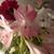 Kristin McAdams's profile image