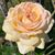 Claire Grubb's profile image